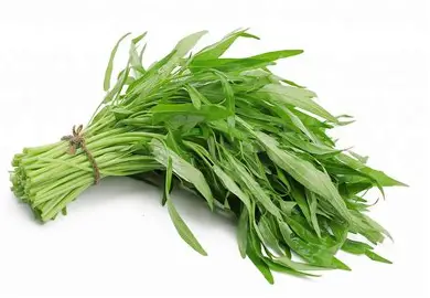 Rau muống