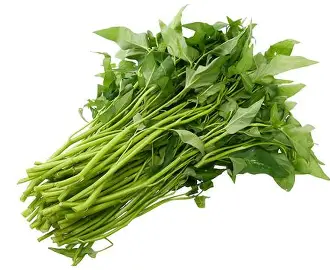 Rau muống